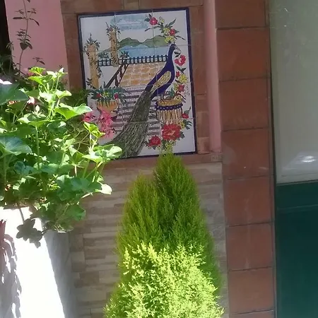 La Valle Dell'etna Σπίτι διακοπών